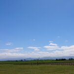 【北海道・札幌移住】転職先選びのおすすめポイント6選・移住前後の動き方