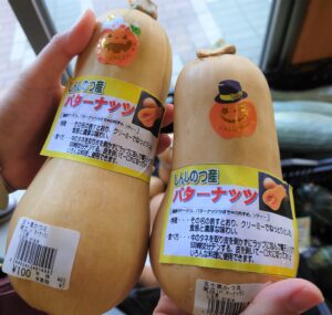 新篠津村のとれたて野菜