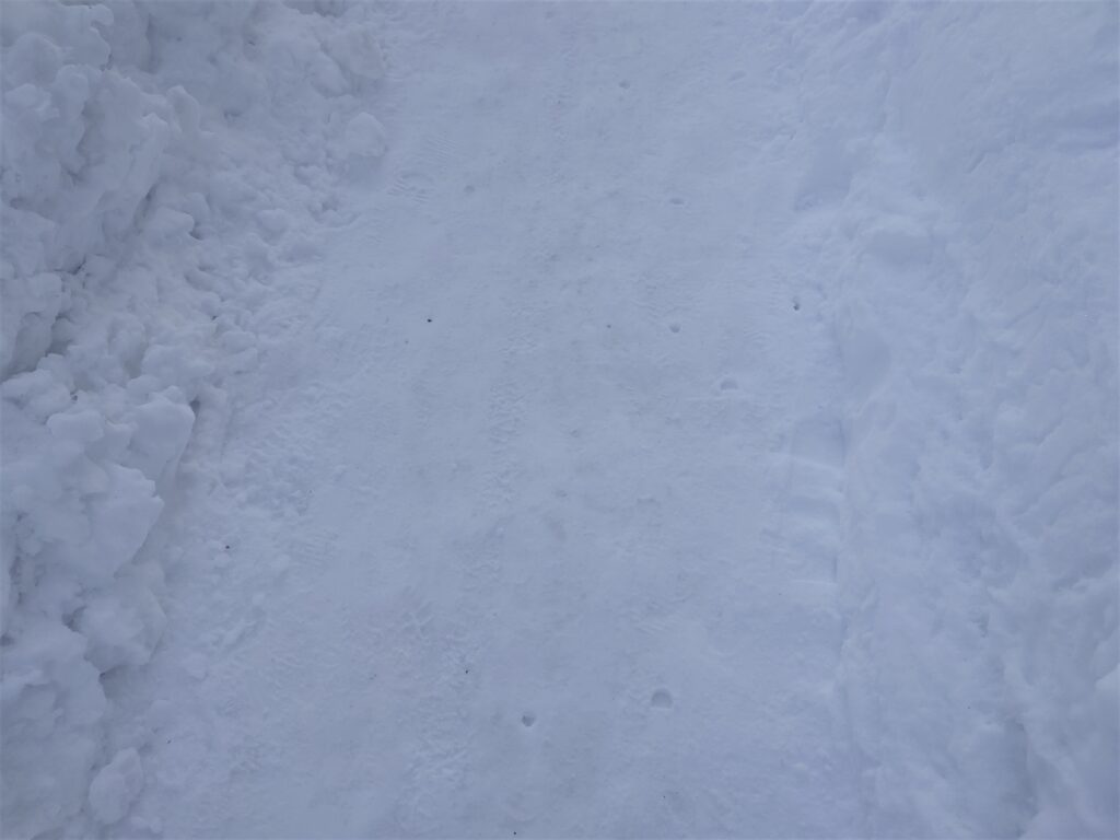 北海道の圧雪の歩道