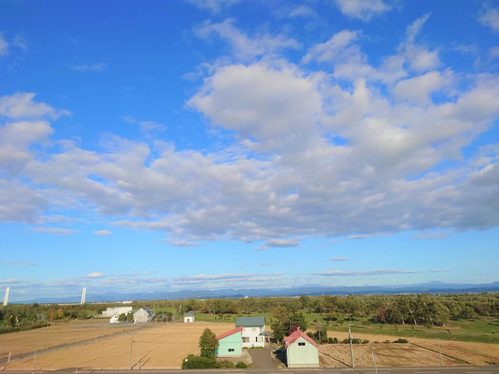新篠津村塔からの景色