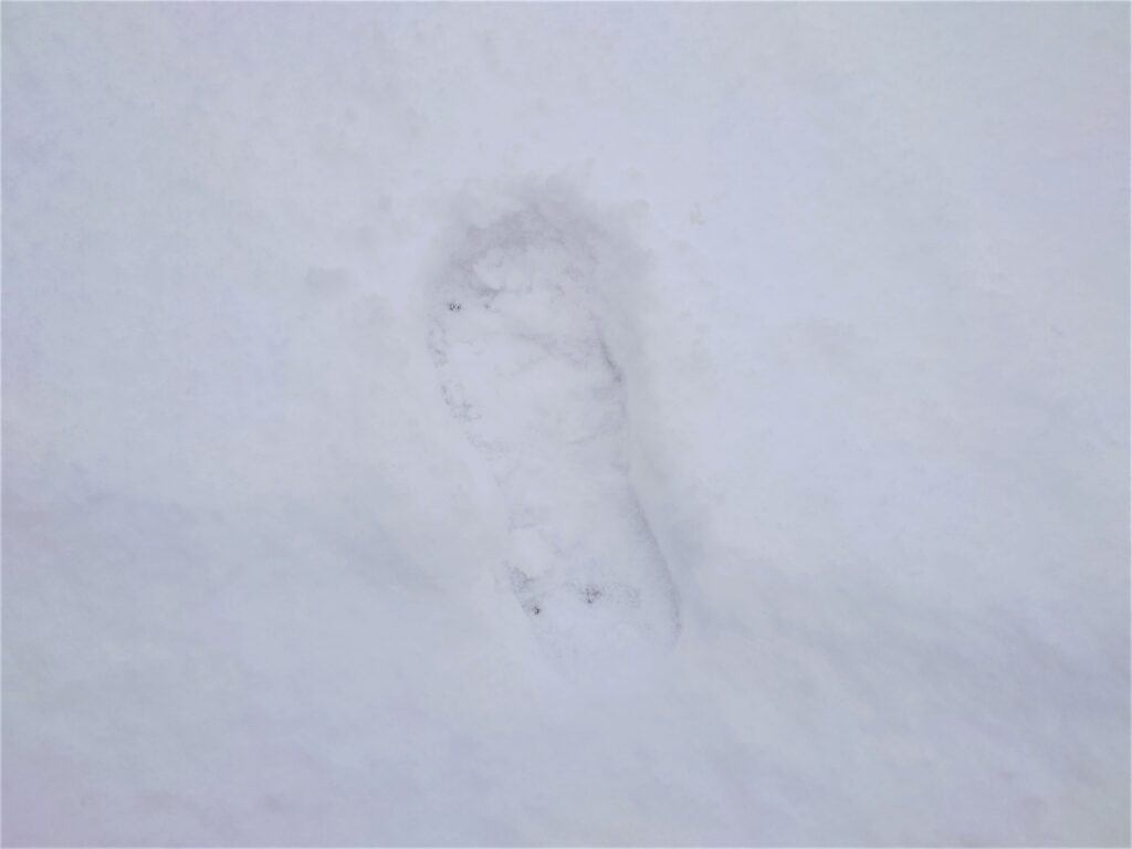 北海道の新雪の足跡