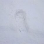 北海道の冬道・雪道の歩き方と冬靴・雪靴の解説【北海道・札幌移住】