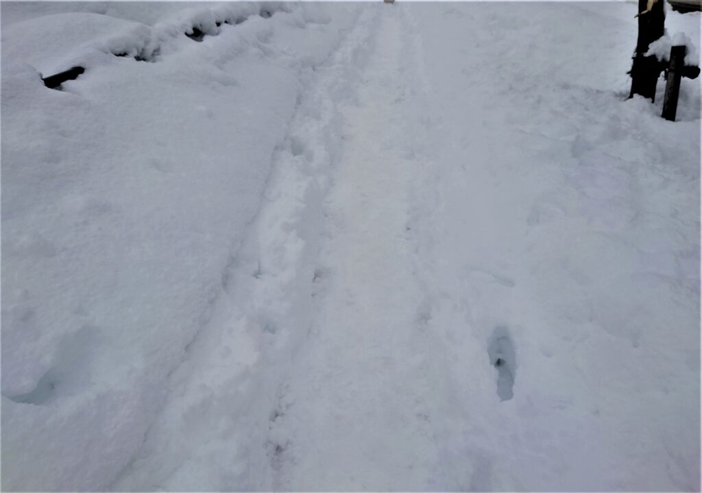 狭くなった雪の歩道