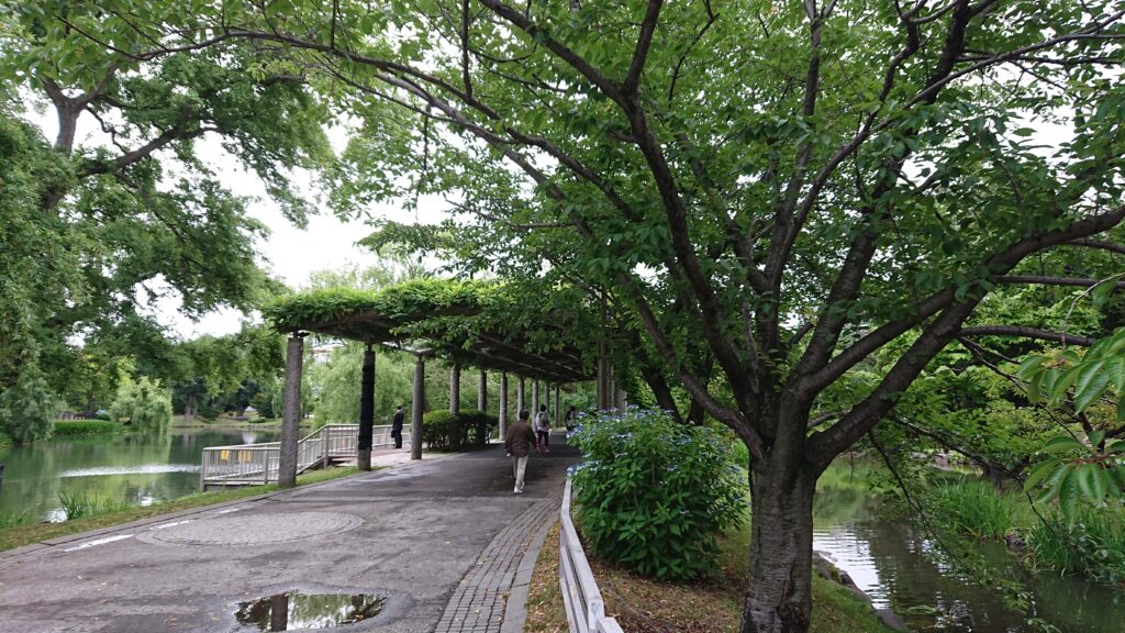 中島公園園内風景