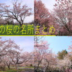 札幌近郊の桜の名所まとめ7選