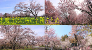 札幌近郊の桜の名所まとめ7選