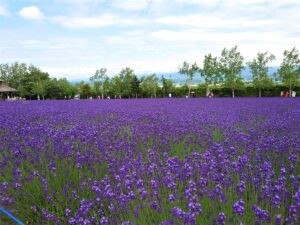 北海道の全14地方・管内の紹介と難読地名の解説