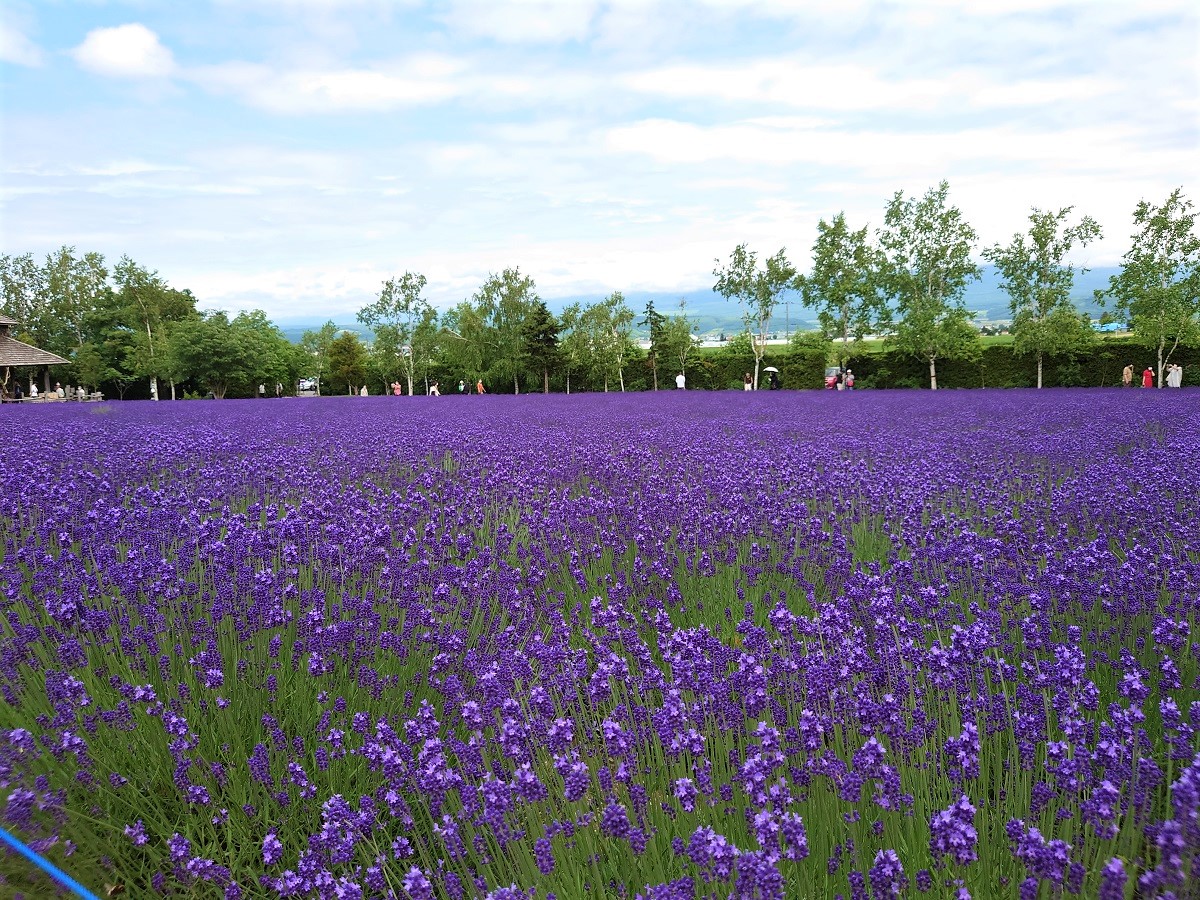 北海道の全14地方・管内の紹介と難読地名の解説